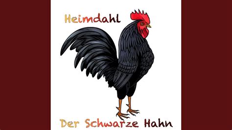  Der schwarze Hahn – Eine melancholische Reise durch irische Folklore